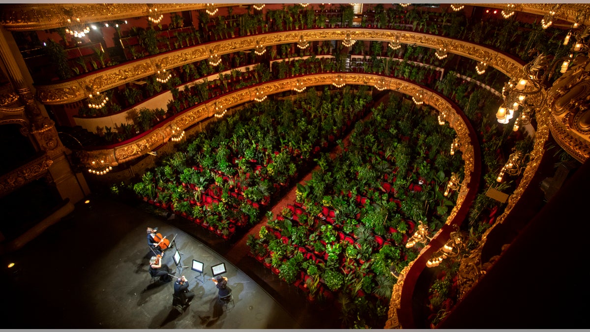 Musicians rehearse at the Gran Teatre del Liceu in Barcelona, Spain, Monday, June 22, 2020. The Gran Teatre del Liceu reopens its doors, in which the 2,292 seats of the auditorium will be occupied on this occasion by plants. (AP Photo/Emilio Morenatti)
