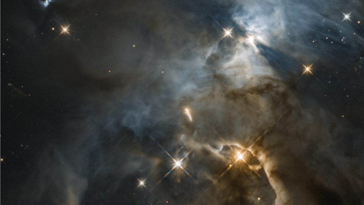 Astronomers using Hubble previously captured a remarkable image of a young star's unseen, planet-forming disk casting a huge shadow across a more distant cloud in a star-forming region. The star is called HBC 672, and the shadow feature was nicknamed the "Bat Shadow" because it resembles a pair of wings. The nickname turned out to be unexpectedly appropriate, because now those "wings" appear to be flapping! (Credits: NASA, ESA, and STScI)