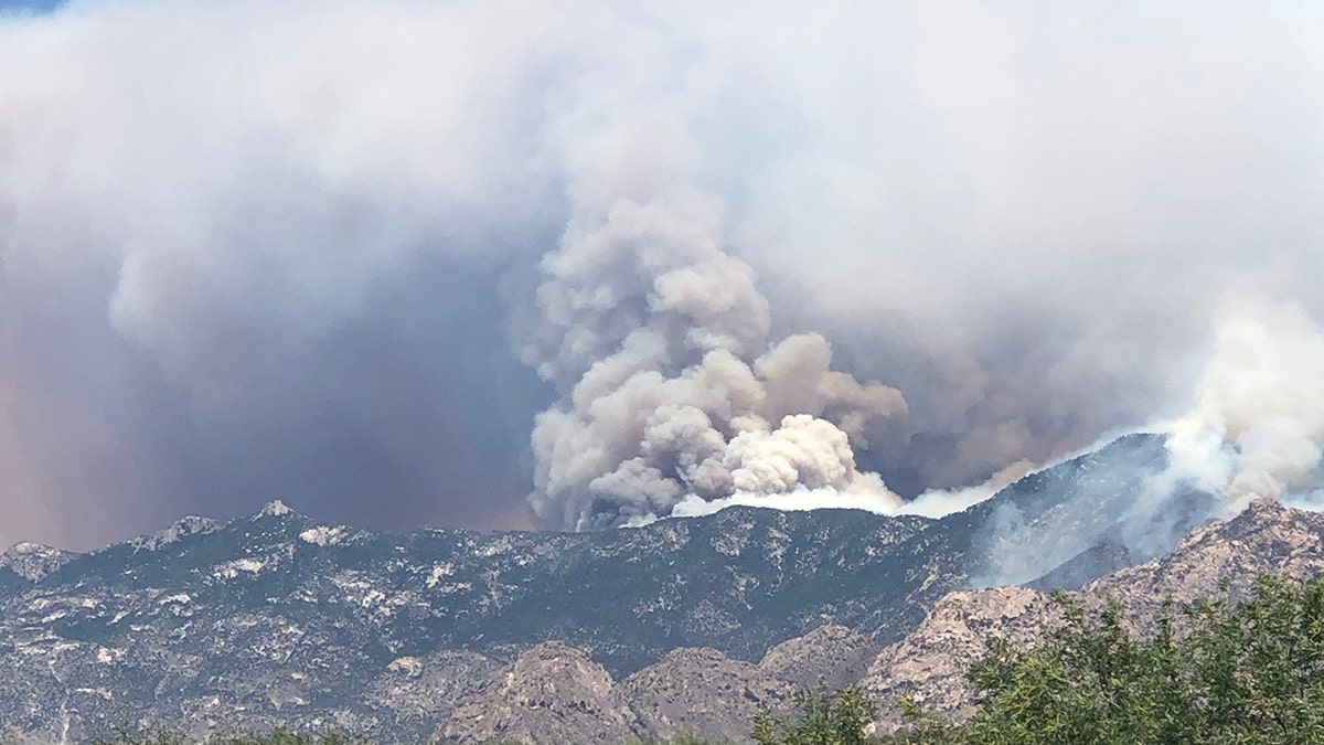 The Bighorn Fire burning in the Coronado National Forest near Tucson has grown to some 23,892 acres and was at 40 percent containment as of Thursday.