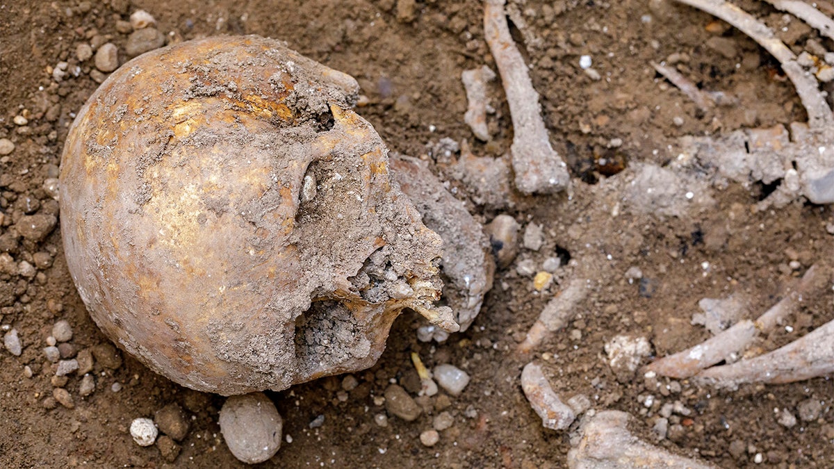 Some of the human remains uncovered during the excavation in Valladolid.