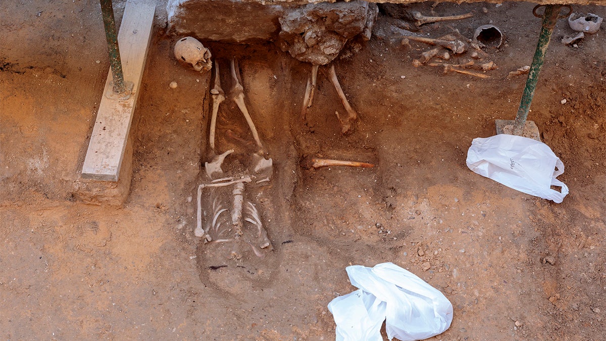 20 skeletons have been discovered at the Valladolid excavation site. (Pacos Heras)