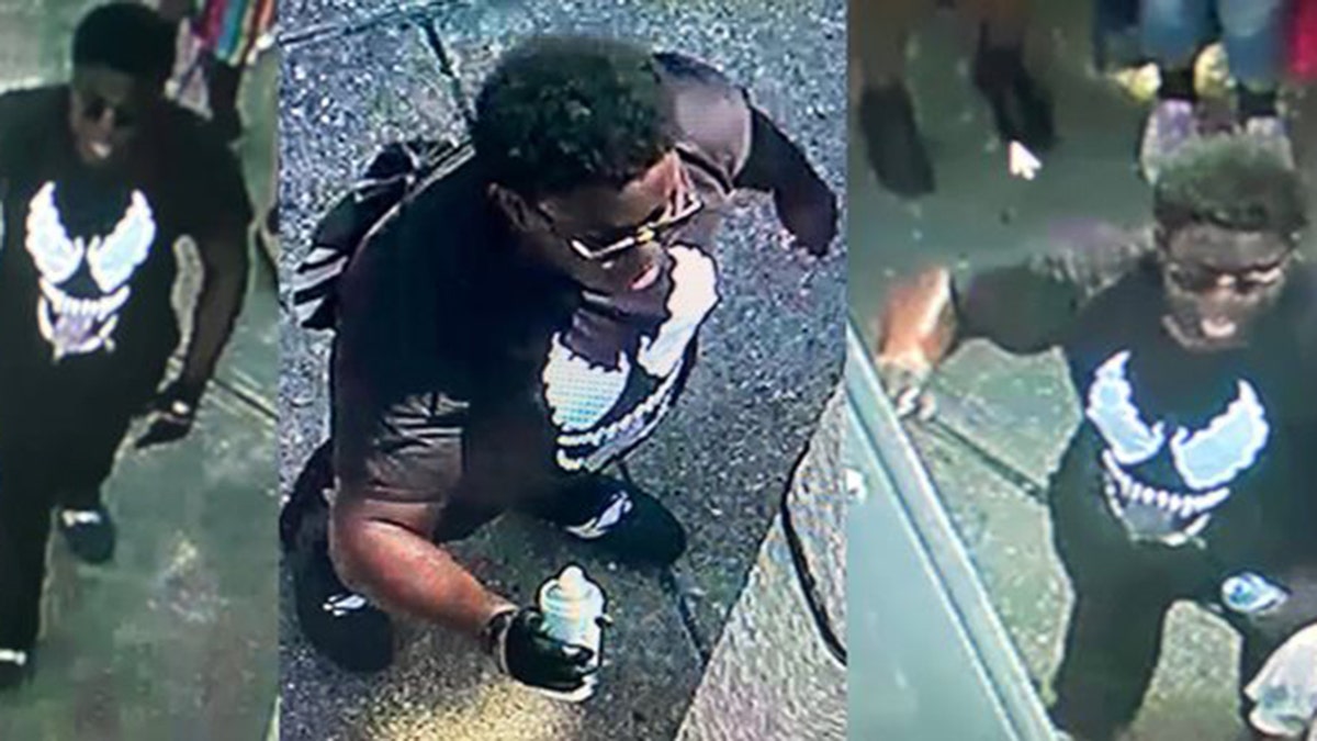 New Orleans police said they the person in the photo is being sought for vandalizing a statue to a slave owner after a protest against racism.<br><br>