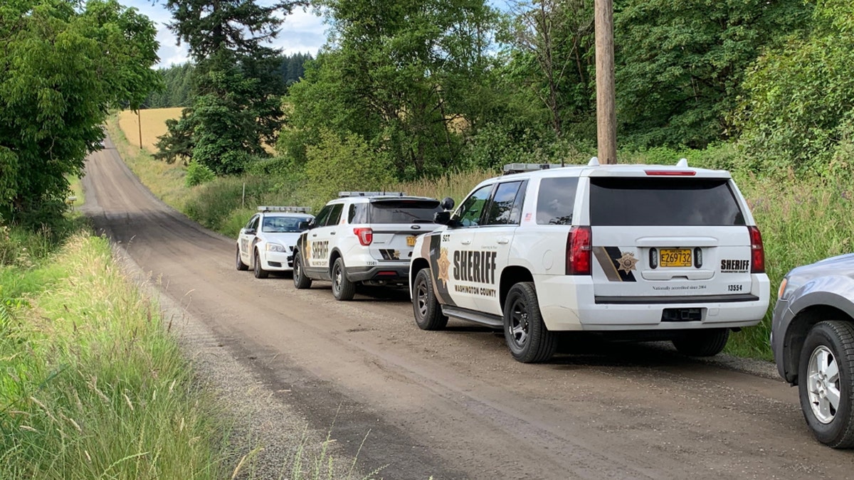 Humain believes believed to be Allyson Watterson were discovered in a rural area of North Plains, Ore. on Saturday, according to Washington County Sheriff’s Office.