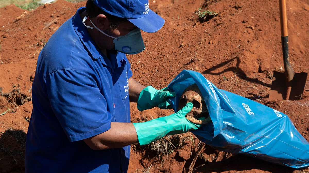 A cemetery worker puts a cranium into a bag while exhuming the body of a person buried three years ago at the Vila Formosa cemetery, which does not charge families for the gravesites, in Sao Paulo, Brazil, Friday, June 12, 2020. Three years after burials, remains are routinely exhumated and stored in plastic bags to make room for more burials, which have increased amid the new coronavirus. (AP Photo/Andre Penner)