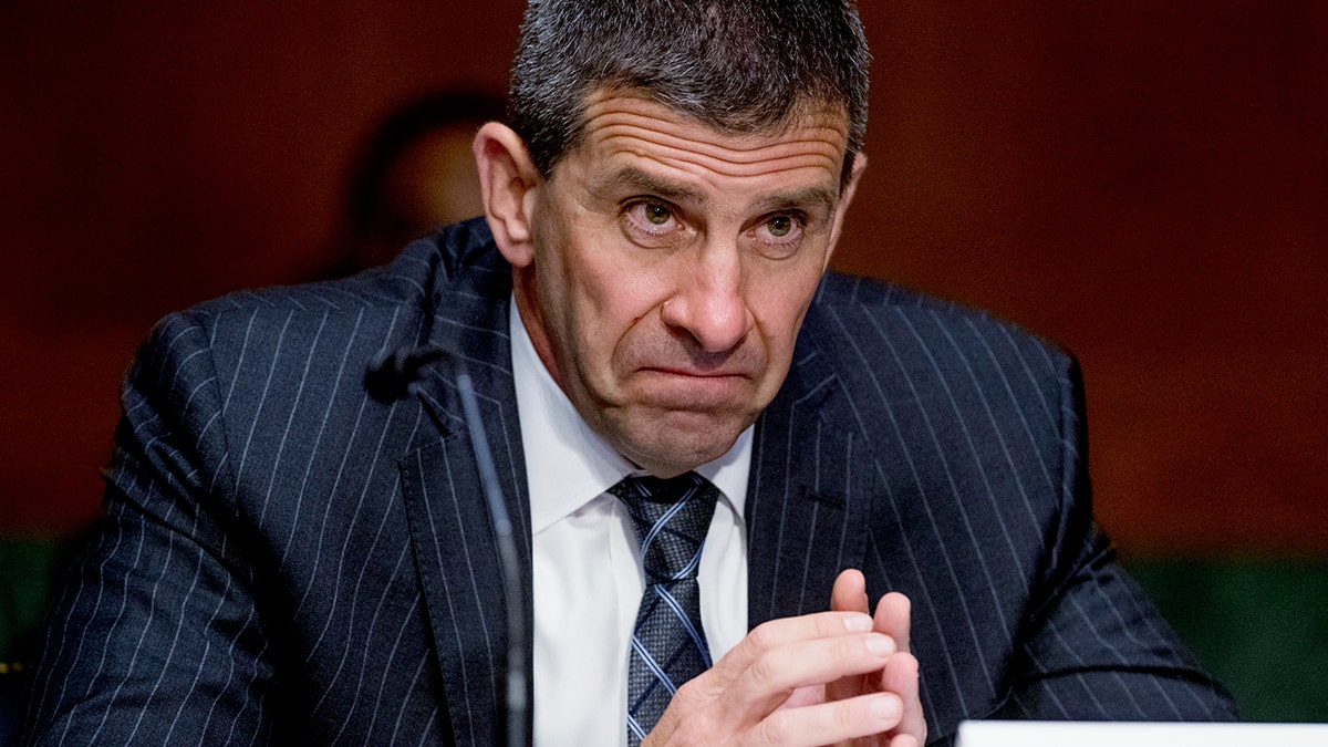 Secret Service Assistant Director Michael D'Ambrosio appears at a Senate Judiciary Committee hearing on Capitol Hill in Washington, June 9, 2020. (Associated Press)