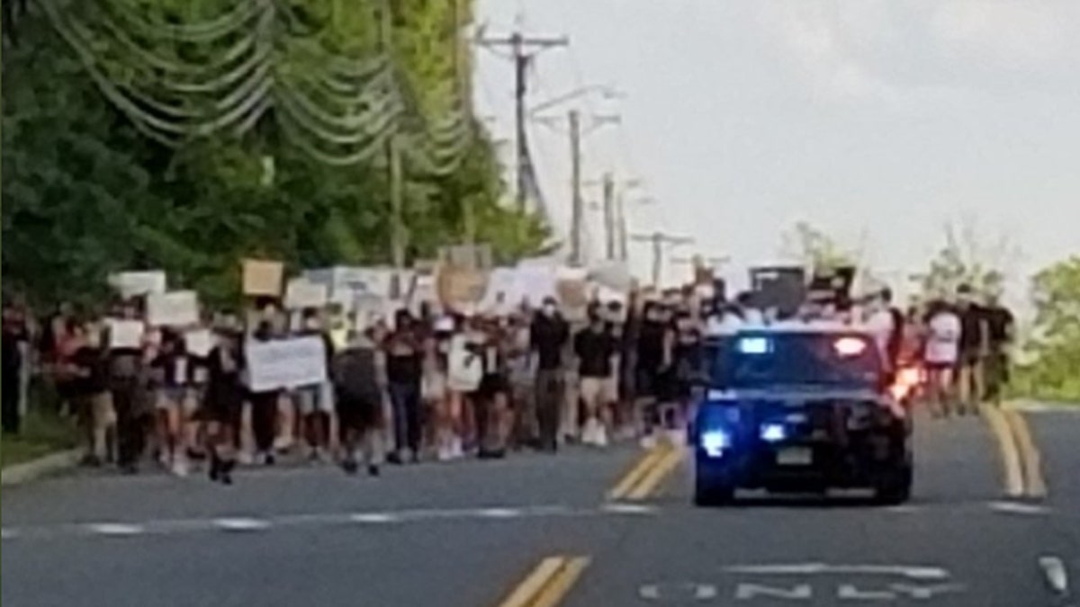 A woman was seriously injured after a deer ran into a group of Black Lives Matter demonstrators in New Jersey on Friday.