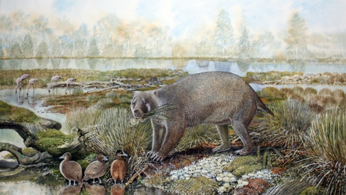 An artist's impression of Mukupirna nambensis.