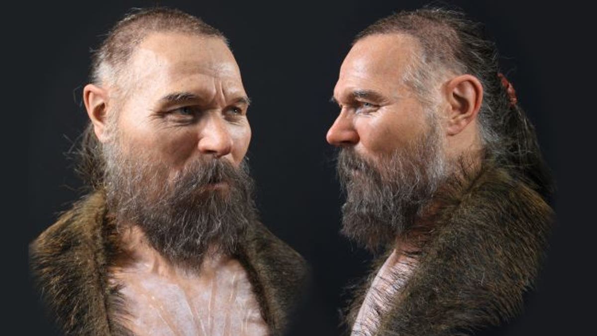 In this reconstruction, the Mesolithic man, who died in his 50s, wears a wild boar skin. (Credit: Oscar Nilsson)