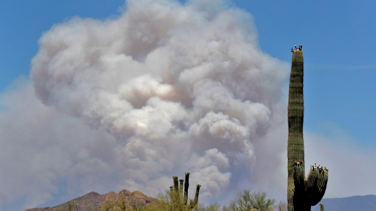 A portion of the Bush fire burns through the Tonto National Forest, June 16, as seen from Apache Junction, Ariz.