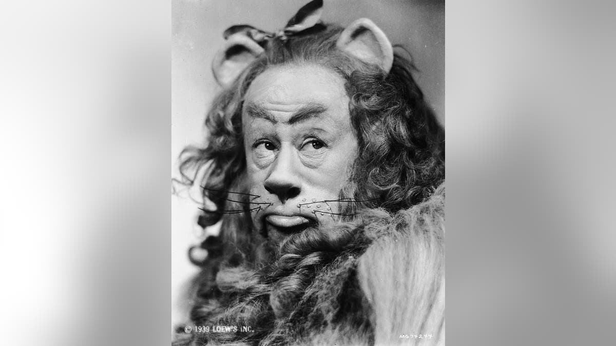 Bert Lahr (1895-1967) in costume as the cowardly lion in the musical 'The Wizard of Oz', directed by Victor Fleming for MGM.
