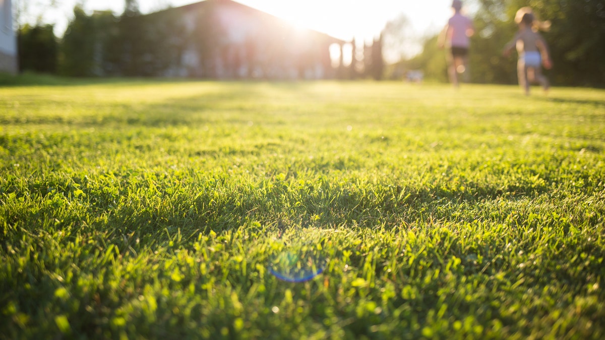 Midday sunlight is capable of inactivating 90 percent or more of the SARS-CoV-2 virus after 34 minutes of exposure, a recent study found. <br data-cke-eol="1">
(iStock)