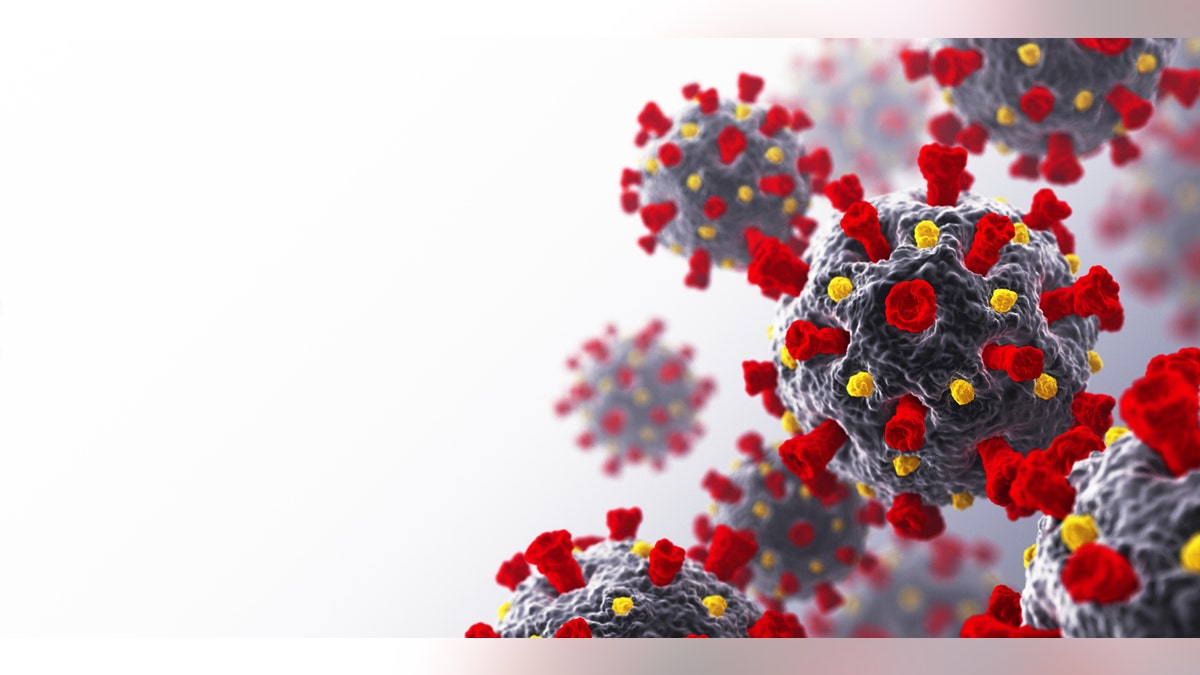 The novel coronavirus.