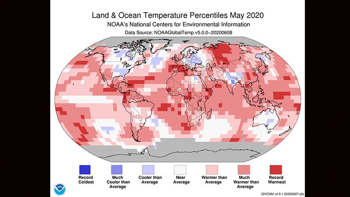 A map from NOAA's National Centers for Environmental Information showing the scope of warmer-than-average temperatures across the globe in May 2020.
