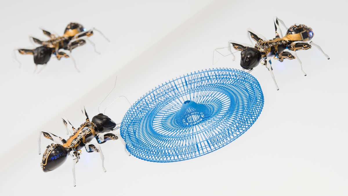 Robot ants 'BionicANTs' are seen at the stand of the company Festo at Hannover trade fair in Hannover, Germany.