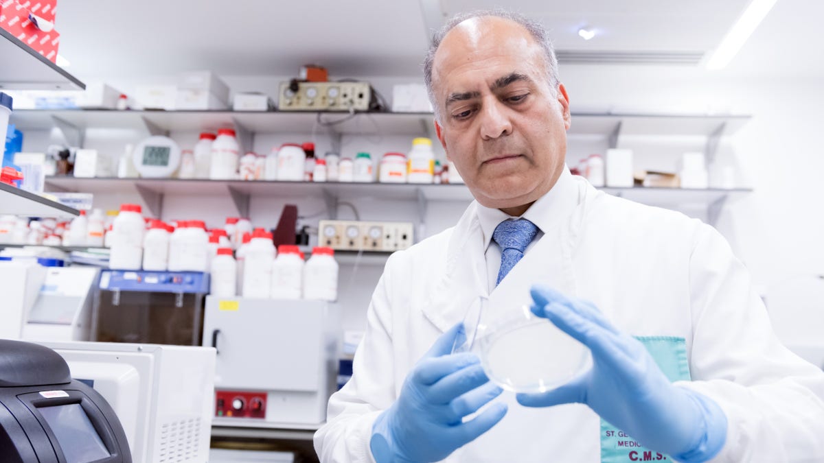 Sanjeev Krishna, professor of molecular parasitology and medicine at St George’s, University of London, studies an assay. (Photo courtesy of St George’s, University of London)