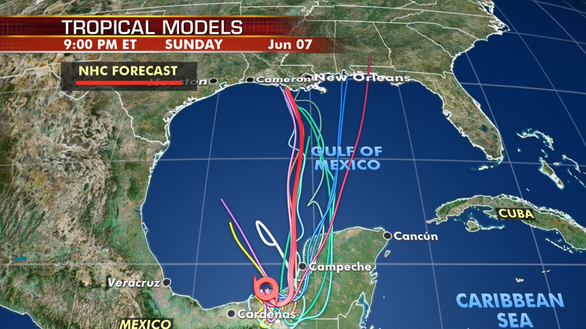 Forecast models show where Tropical Storm Cristobal may go int he next week.