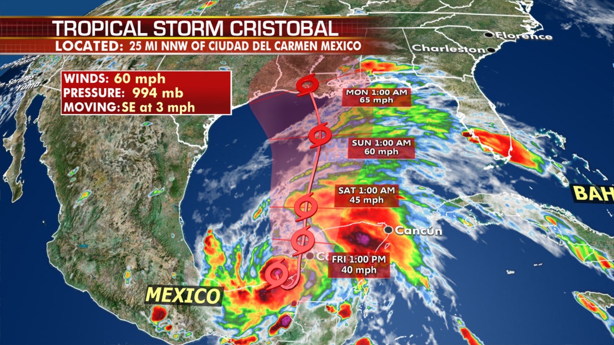 The forecast track of Tropical Storm Cristobal in the Gulf of Mexico.