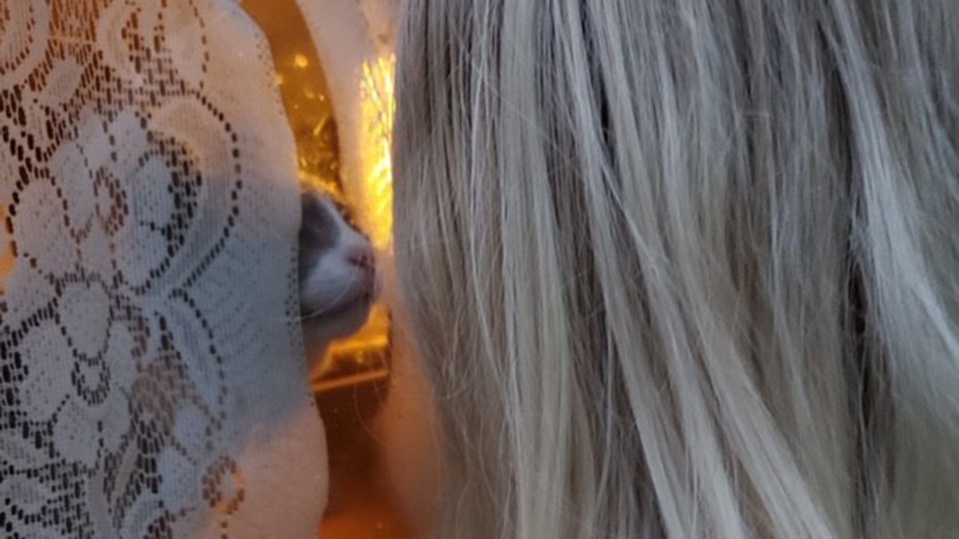 This is a picture of my granddaughter and her cat looking through the window at each other