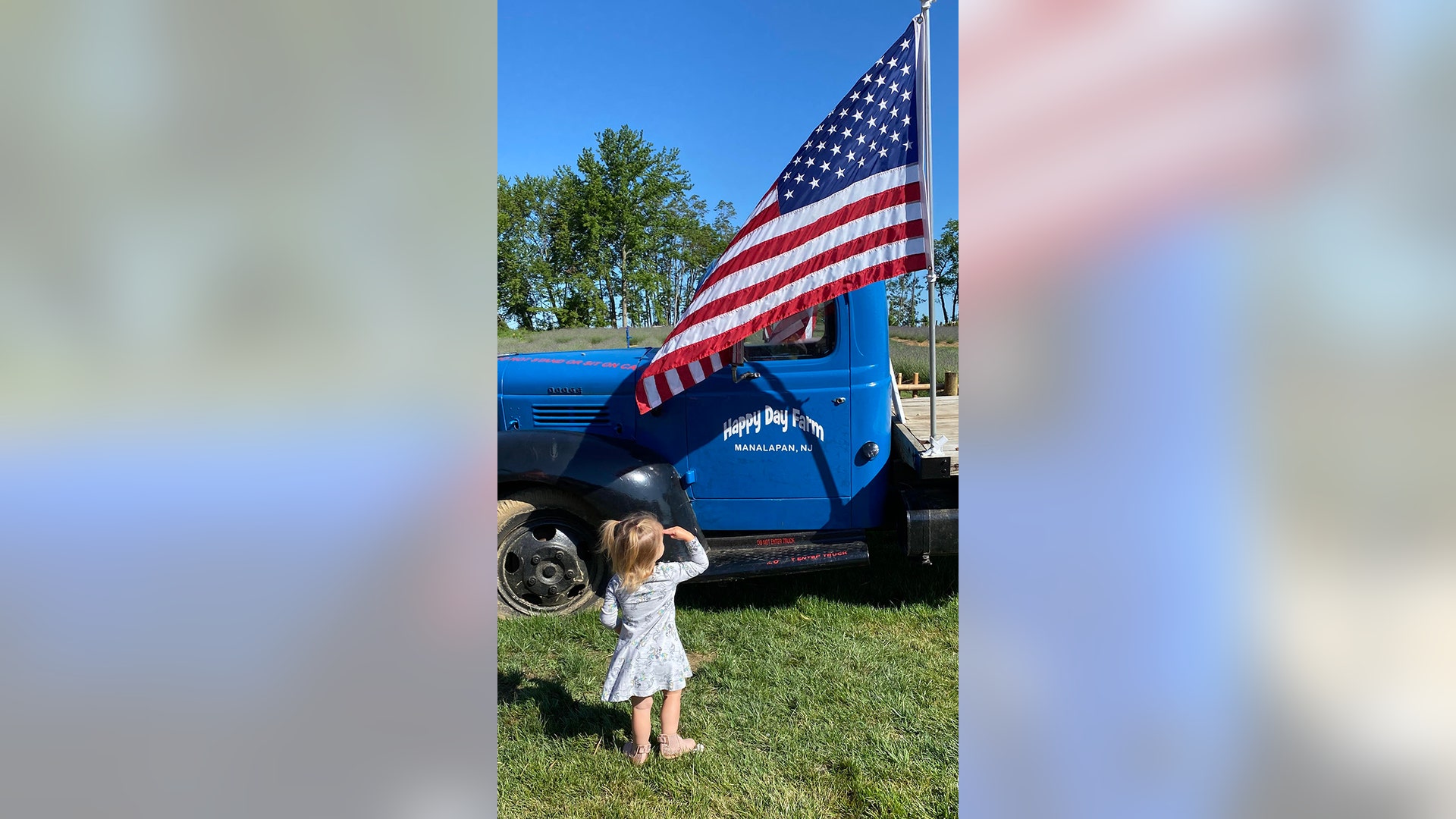 Almost 2 year old Mackenzie May wade saluting our flag on flag day at happy day farms at the start of raspberry picking season