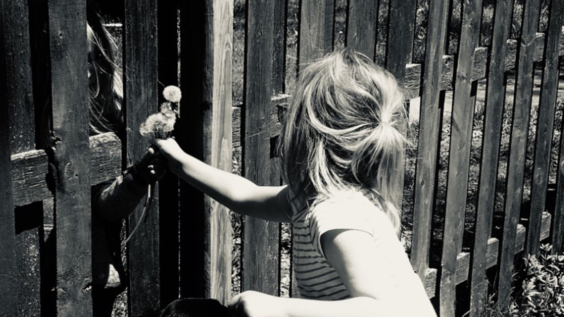 I happened to capture this moment...two little girls (one being my daughter) exchanging flowers through the fence during quarantine pandemic.