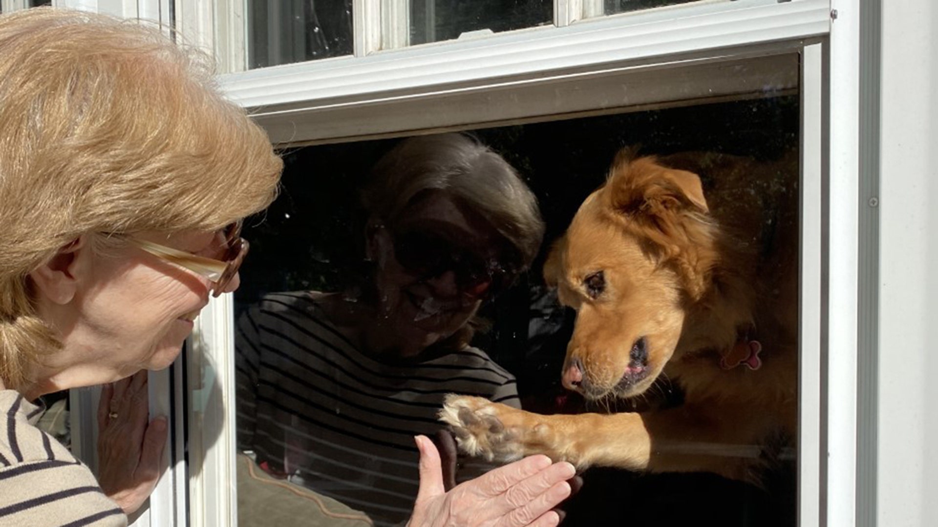 Hello, My mother, Carol Lynch, is the biggest Fox News follower, so I thought I would send this loving photo of her during the Covid crisis. She came to visit myself and her grand-doggie Savannah during the Covid-19 social distancing orders. I thought this was a beautiful photo showing the love between a.Grandmother and her grand-doggie through a window. Priceless!! ❤️ All the best during these trying time! Deborah Tierney