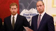 Prince William, Prince Harry’s ‘devastating breakdown’ revealed in new book: ‘I have been astonished’