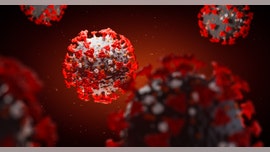 FDA revokes emergency use authorization for chloroquine, hydroxychloroquine