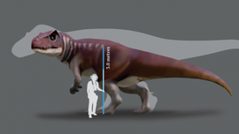 'Jurassic Park' discovery: Giant footprints shed new light on huge carnivorous dinosaurs