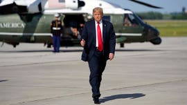 Tammy Bruce: Trump prioritizing law and order with move to protect monuments from mob