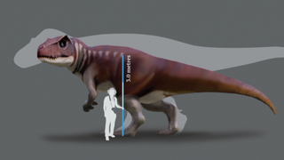 'Jurassic Park' discovery: Giant footprints shed new light on huge carnivorous dinosaurs