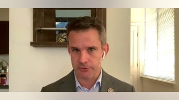 Rep. Adam Kinzinger calls on Americans to protect monuments, stop erasing U.S. history