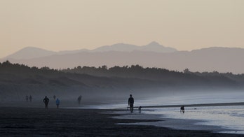 New Zealand reports third new coronavirus case brought from outside country