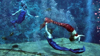 Florida's Weeki Wachee, known for its mermaids, dissolved 54 years after its creation
