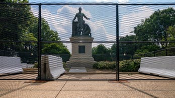 DC protesters condemn Emancipation Memorial in Lincoln Park