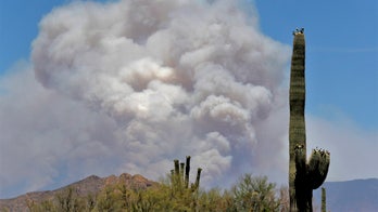 Firefighters face new challenges, concerns heading into wildfire season amid coronavirus pandemic