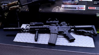 Police searched Maryland home after BB guns spotted during child's online class, report says