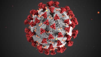 Coronavirus resurgence in several states could erase months of progress, experts warn