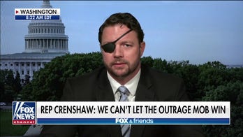 Rep. Crenshaw: 'There's one party that will teach your kids to love America'