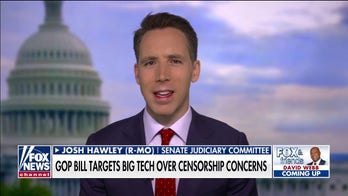 Sen. Hawley on bill targeting Big Tech: They've 'purchased a lot of influence' and will fight it 'tooth and nail'