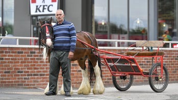 Man in horse-drawn carriage kicked out of KFC drive-thru