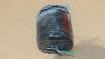 NY man brought homemade bombs into hospital, police allege