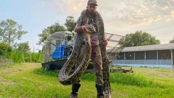 Florida snake hunter catches 17-foot python after bloody battle