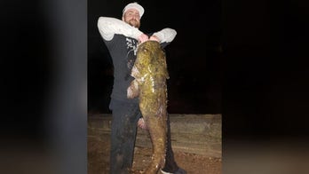 Pennsylvania angler breaks state record with monster 56-pound catfish