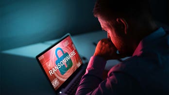 Ransomware will likely get worse in 2021: report