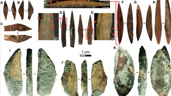 Archery could date back 48,000 years in South Asia, study says