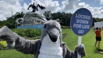 PETA stages protest at SeaWorld Orlando on theme park's reopening day