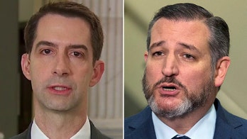 Schumer blocks Cruz-Cotton bill condemning calls to defund police