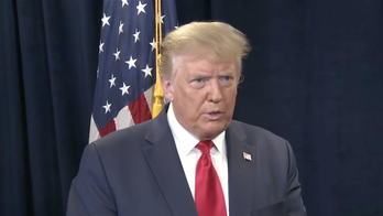 Trump confirms new visa restrictions coming, sounds off on protesters in FNC interview