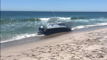 Breaching whale knocks small boat ‘out of the water’ off New Jersey
