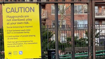 Deroy Murdock highlights double standard on COVID-19: 'Left-wing protests OK but playgrounds are not?'
